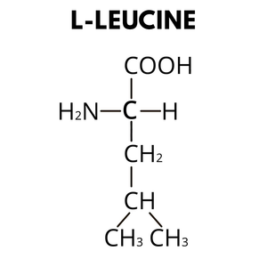 AMINO ACIDS