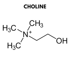 UNE DEMI-VITAMINE INCONNUE