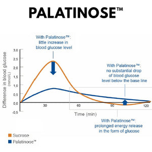 PREMIUM ISOTONISCHES GETRÄNK